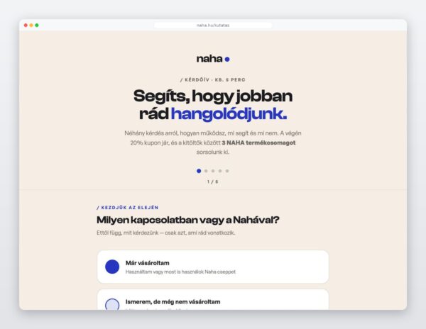 A NAHA buyer persona kutatás online kérdőíve